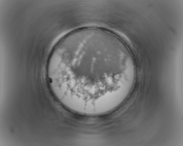 X0000113781279200910211158