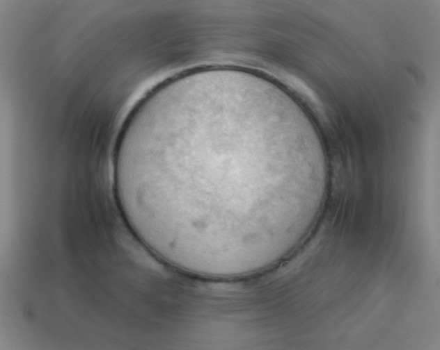 X0000113781280200910211157