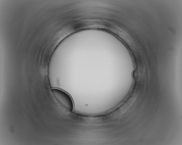 X0000113781281200910211157