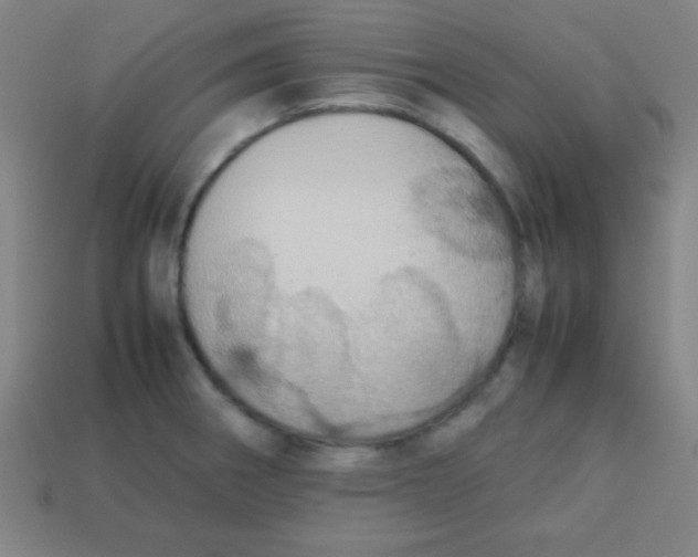 X0000113781282200910211157