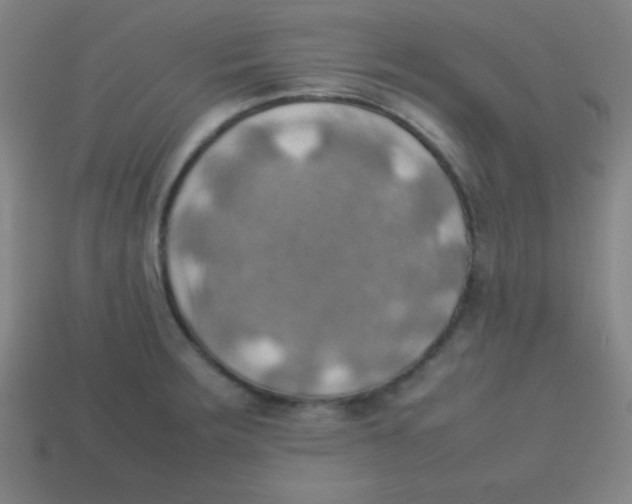 X0000113781283200910211157