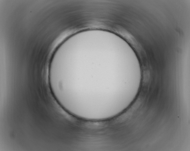 X0000113781286200910211157