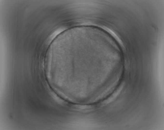 X0000113781289200910211157