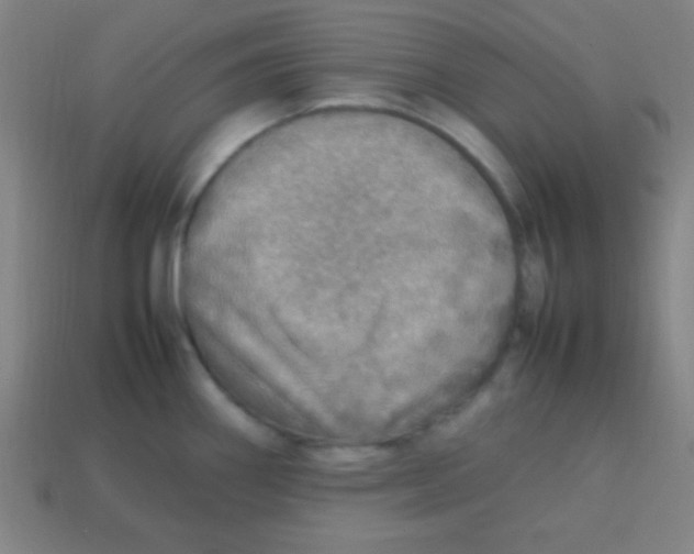 X0000113781290200910211157