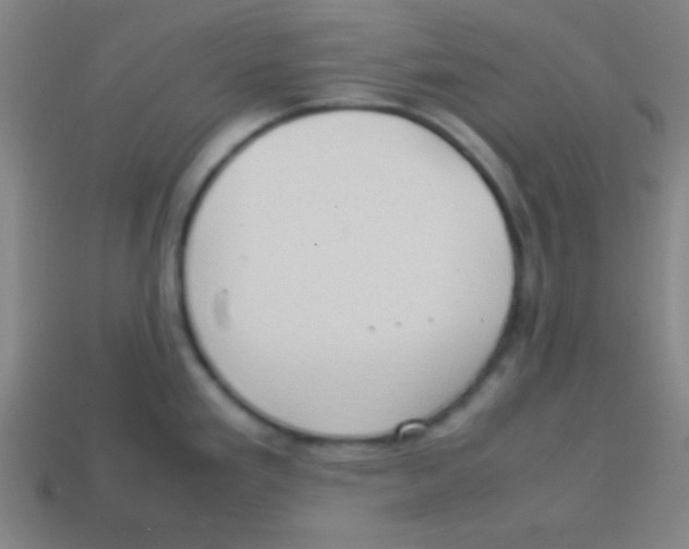 X0000113781293200910211157