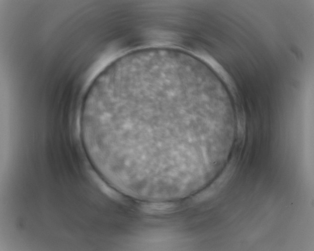 X0000113781294200910211157