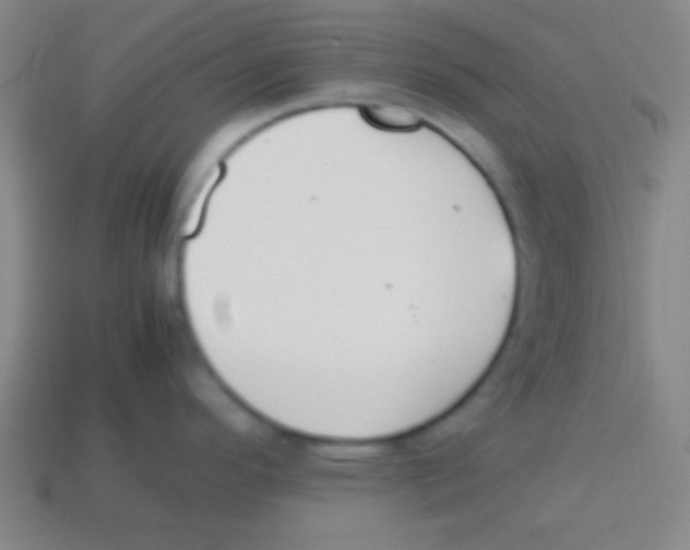 X0000113781296200910211157