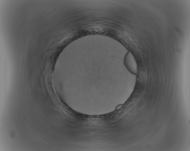 X0000113781297200910211157