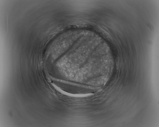 X0000113781298200910211157