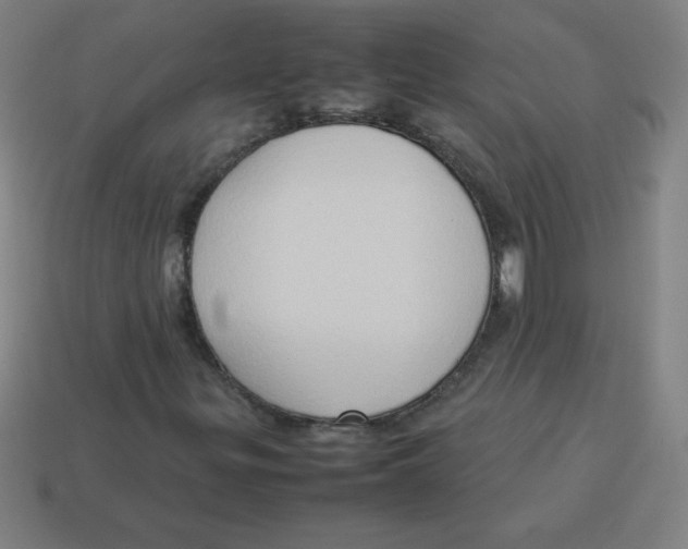 X0000113781299200910211157