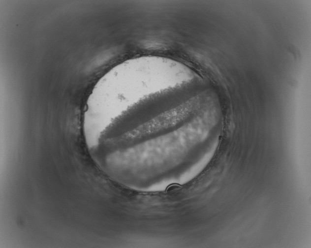 X0000113781301200910211157