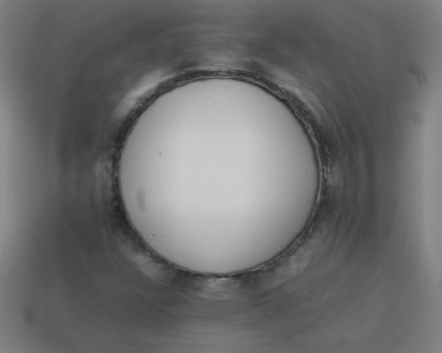 X0000113781304200910211157