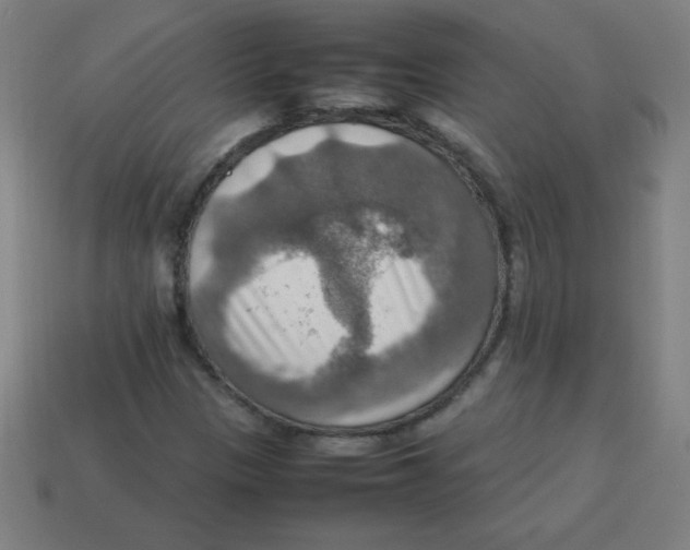 X0000113781305200910211157