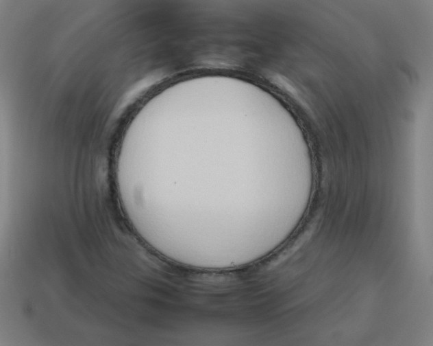 X0000113781307200910211157