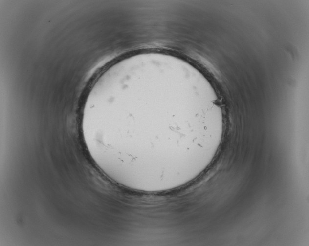 X0000113781308200910211157