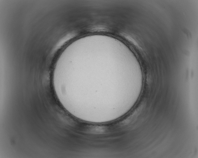 X0000113781309200910211157