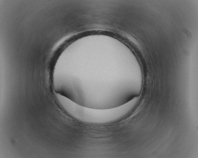 X0000113781310200910211157