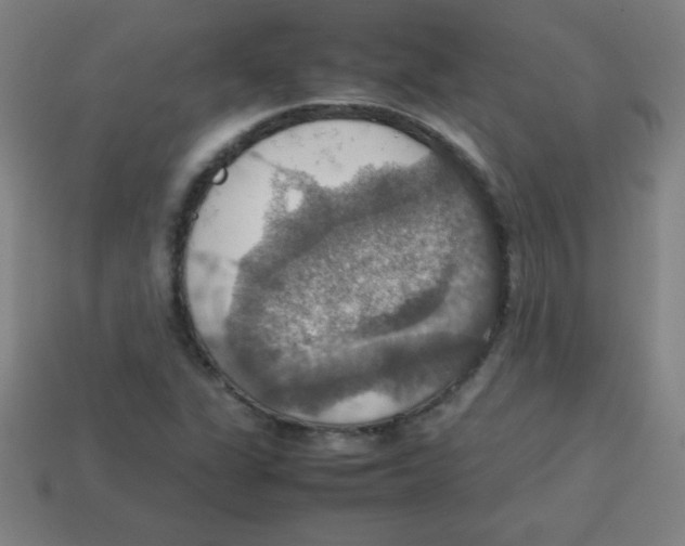 X0000113781311200910211157