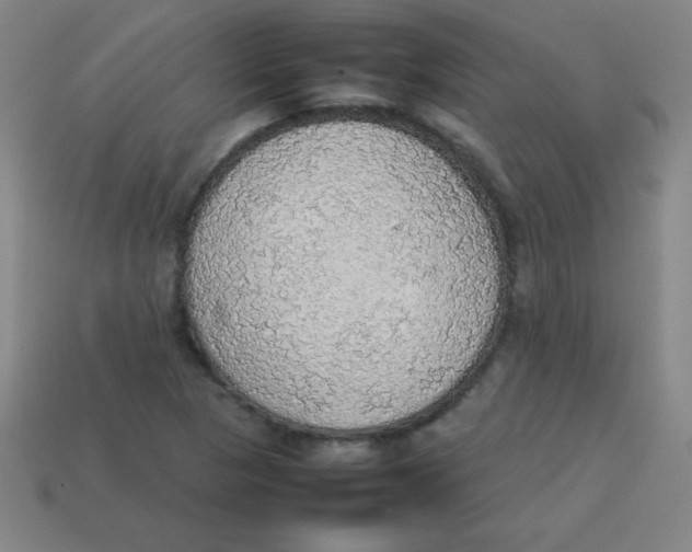 X0000113781313200910211157