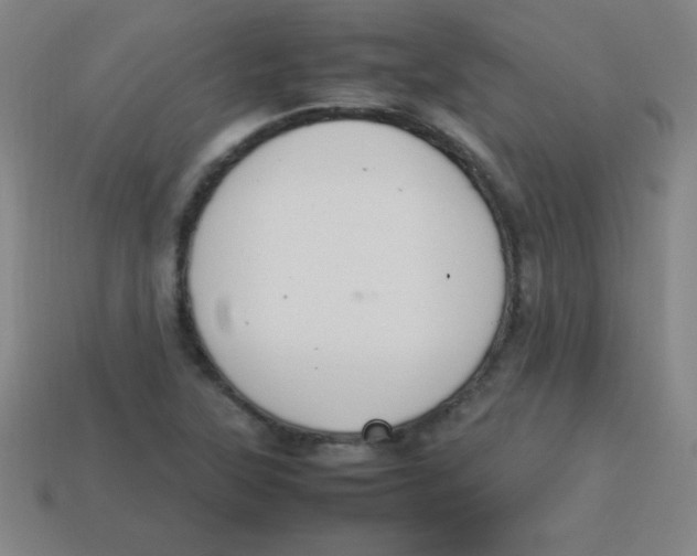 X0000113781315200910211157