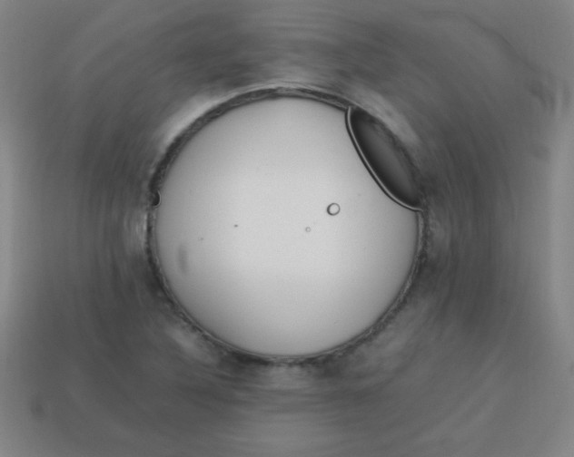 X0000113781316200910211157