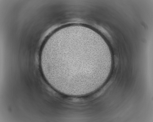 X0000113781318200910211157