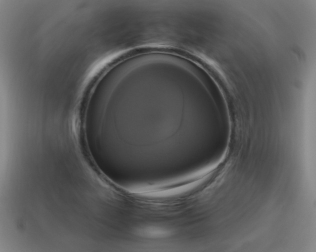 X0000113781319200910211157