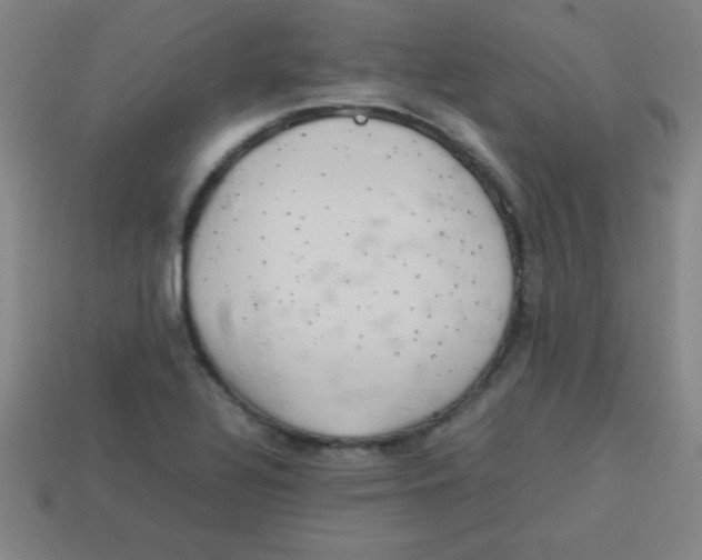 X0000113781320200910211157