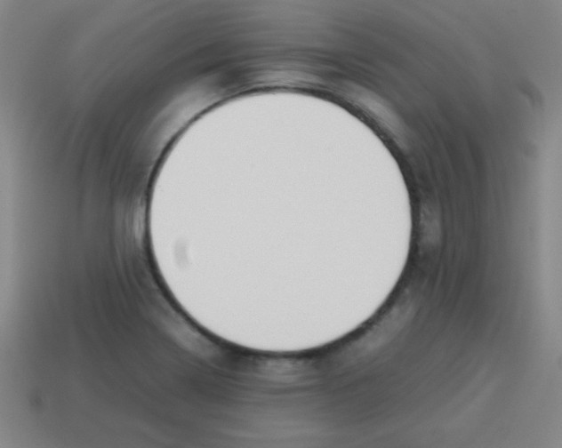 X0000113781322200910211157