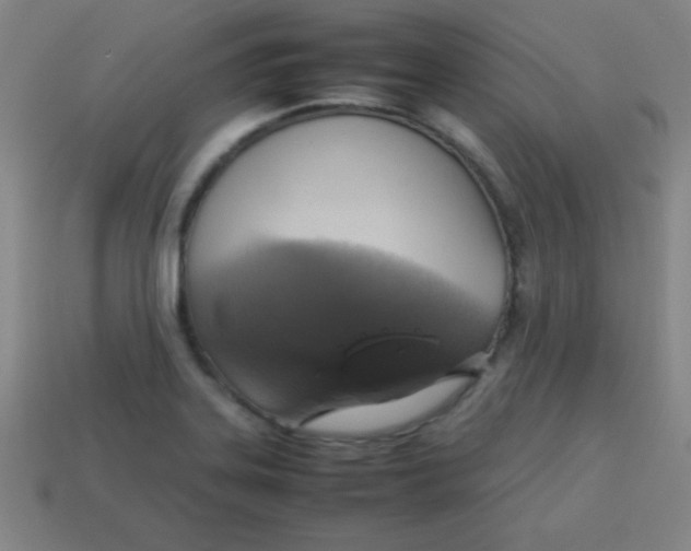 X0000113781323200910211157