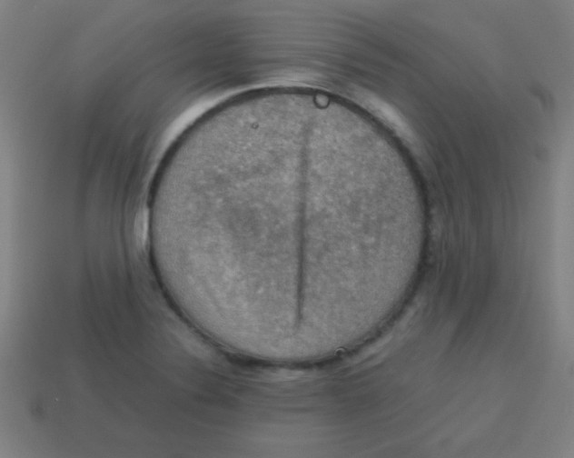 X0000113781324200910211157