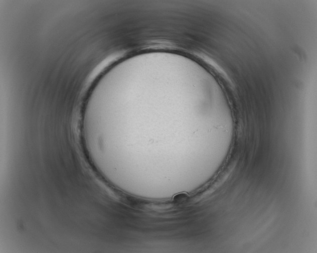 X0000113781325200910211157