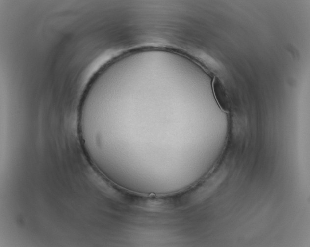 X0000113781326200910211157