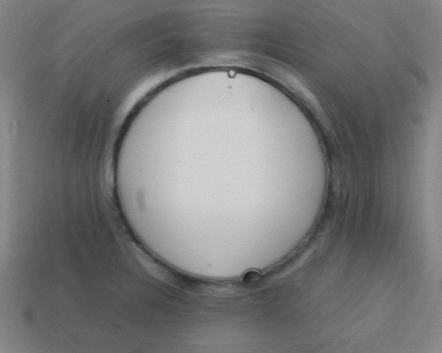 X0000113781328200910211157