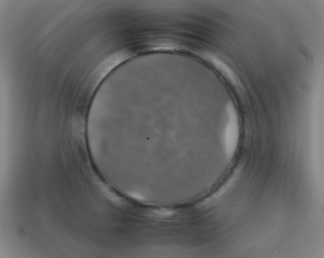 X0000113781329200910211157