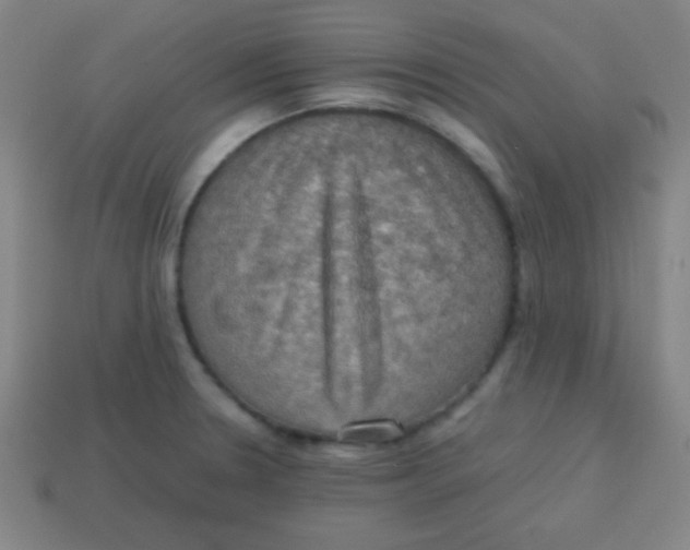 X0000113781330200910211157