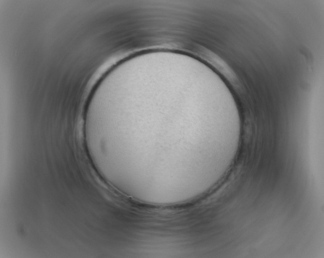 X0000113781332200910211157