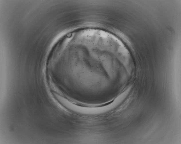 X0000113781334200910211157