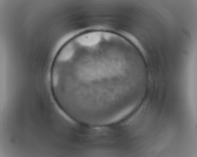 X0000113781335200910211157