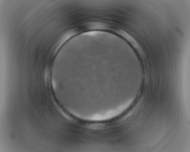 X0000113781337200910211157