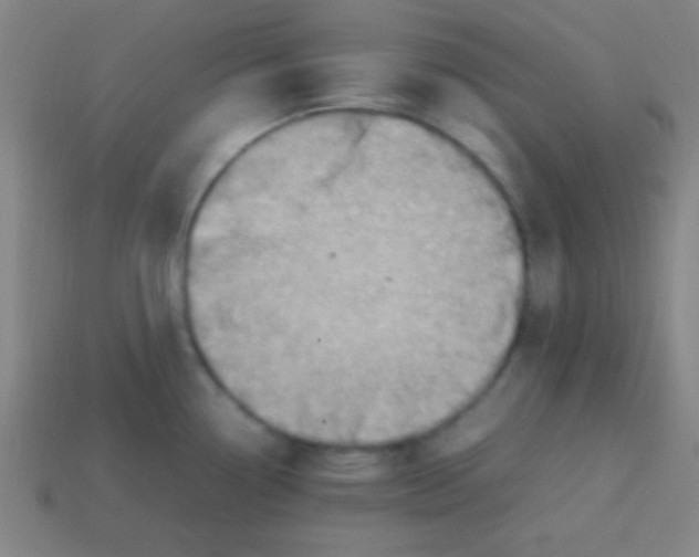 X0000113781338200910211157