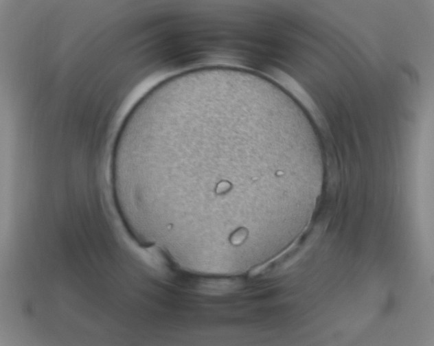 X0000113781339200910211157