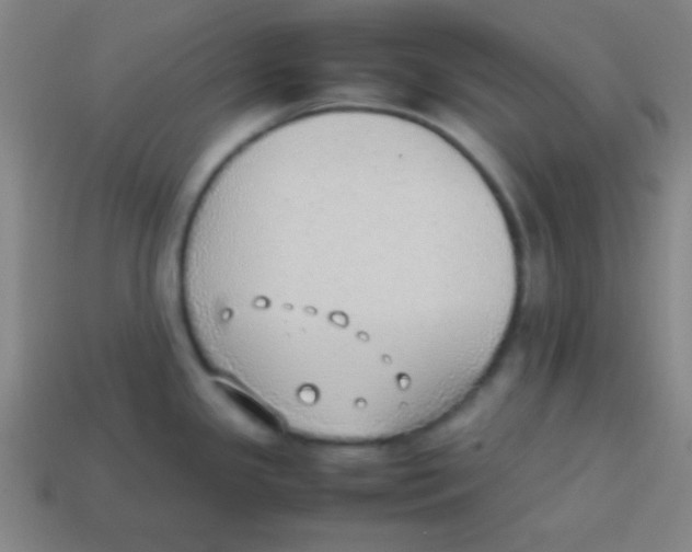 X0000113781341200910211157