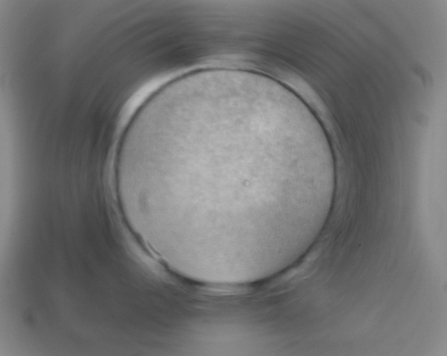 X0000113781344200910211157