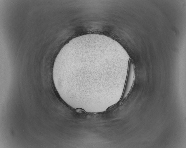 X0000113781345200910211156