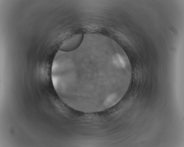 X0000113781346200910211156