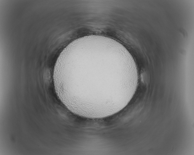 X0000113781347200910211156