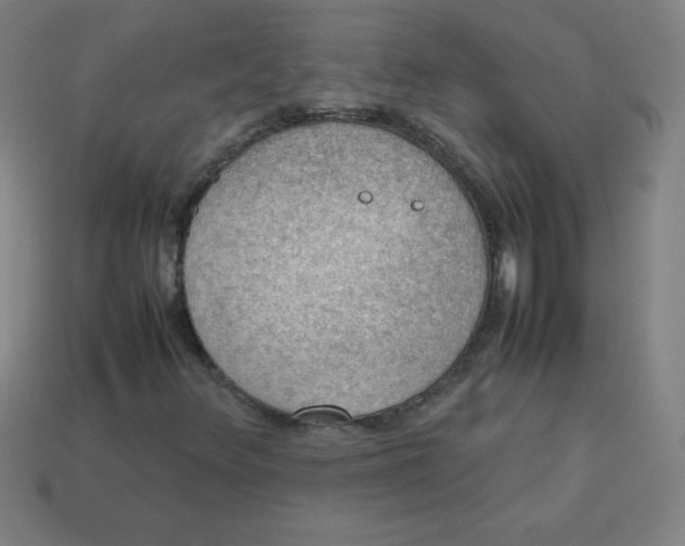 X0000113781348200910211156