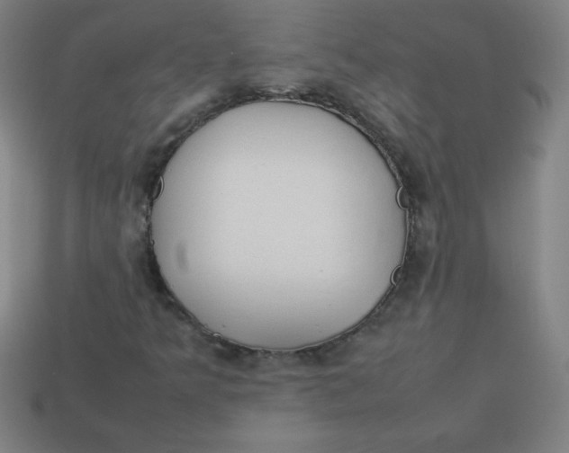 X0000113781349200910211156