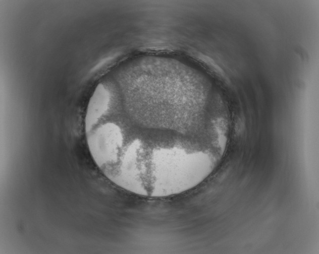 X0000113781350200910211156